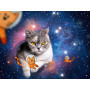 Ravensburger - Cats Flying to Outer Space 1500p