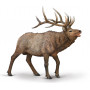 Collecta WAPITI (ELK) (XL)