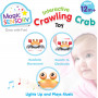 Interactive Crab Crawler (Orange)