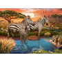 Ravensburger - Zebra 500pc