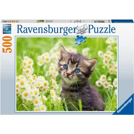 Ravensburger - Cats Photo 500p