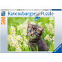 Ravensburger - Cats Photo 500p