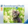 Ravensburger - Cats Photo 500p