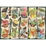 Ravensburger - Tropical Butterfly 1000p