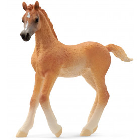 Schleich - Arab foal