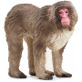 Schleich - Japanese Macaque