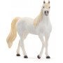 Schleich - Arab Mare