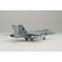 1/144 U.S. Navy Carrier-Based Fighter F/A-18F Super Hornet VFA-41 "Black Aces"