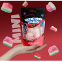 Mini Watermelon Freeze Dried