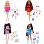 Barbie Dream Besties Fashion Doll Assortment