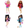 Barbie Dream Besties Fashion Doll Assortment