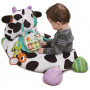 VTECH Moosical Activities Ball Pit