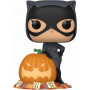 DC Comics - Catwoman w/Pumpkin Pop!