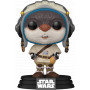 Star Wars: Acolyte - Bazil Pop!