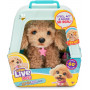 LITTLE LIVE PETS MY REALLY REAL PUPPY ASSTD