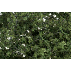 WS MEDIUM GREEN FINE LEAF FOLIAGE