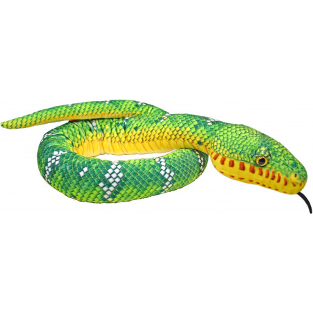 Rainforest Snake Emerald Tree Boa