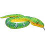 Rainforest Snake Emerald Tree Boa