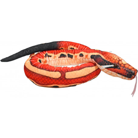 Rainforest Snake Blood Python