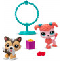 Littlest Pet Shop- 2 Pack Assortment Series 2