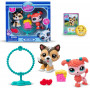 Littlest Pet Shop- 2 Pack Assortment Series 2