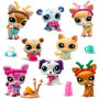 LPS Pet Advent Calendar