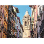 Rburg - WT Pamplona Spain Puzzle 1500pc