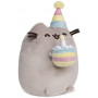 PUSHEEN BIRTHDAY 24CM