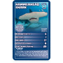 Sharks Top Trumps