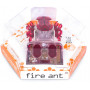 HEXBUG - Fire Ant Asstd