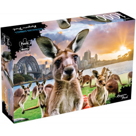 Kangaroo Park Puzzle