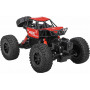 RC AMPHIBIOUS CAR BLACK