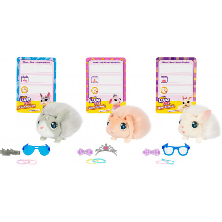 Little Live Pets Mama Surprise S3 Bunny Playset Afterpay