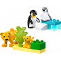 LEGO DUPLO Wild Animal Families: Penguins & Lions 10442