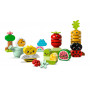 LEGO Organic Garden 10984