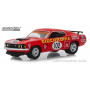 1:64 1969 Ford Mustang Boss 302 #102 Jim Richards Racing