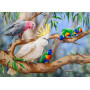 HOLDSON ALL CREATURES 1000pc BIRDS