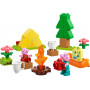 LEGO DUPLO Peppa Pig Camping Trip 10452